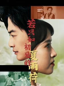 若只如初见的夏雨荷 全集(大结局)