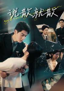 说散就散 全集(大结局)