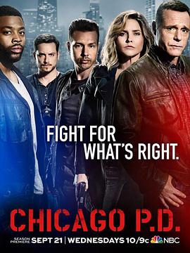 芝加哥警署第四季 第08集