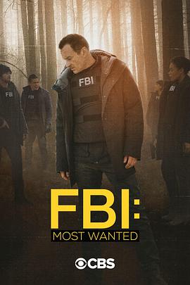 联邦调查局通缉要犯第二季 第8集