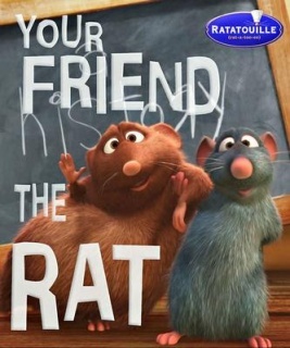 你的老鼠朋友